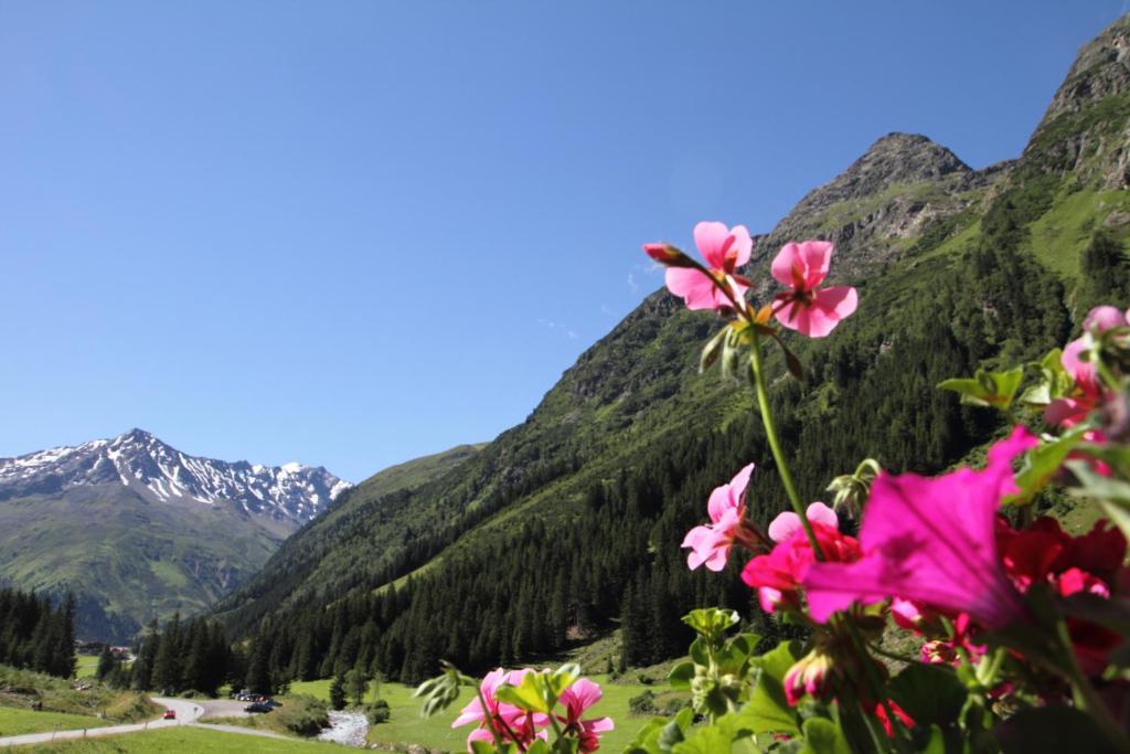 Haus Elisabeth Hotel Sankt Leonhard im Pitztal Phòng bức ảnh